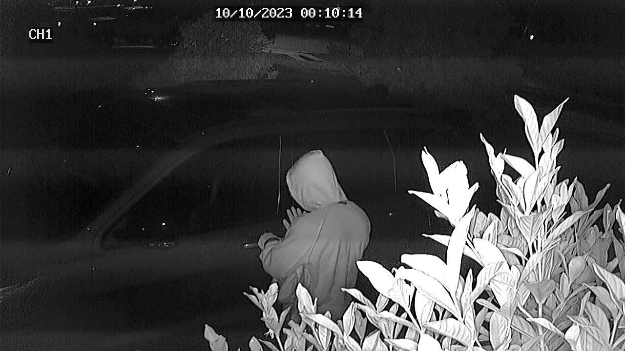 Misty Morning Drive suspect