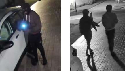 Solivita handle flippers